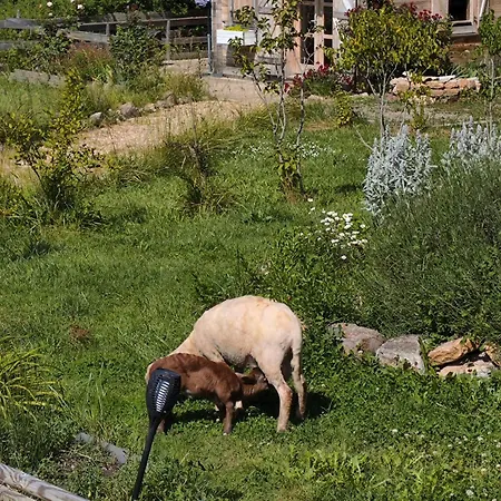 Hébergement de vacances Au Chant Des Oiseaux Mésanges