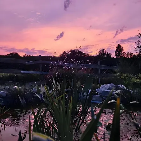 펜션 Confort Avec Petit Dejeuner *