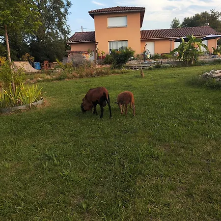 펜션 Confort Avec Petit Dejeuner *