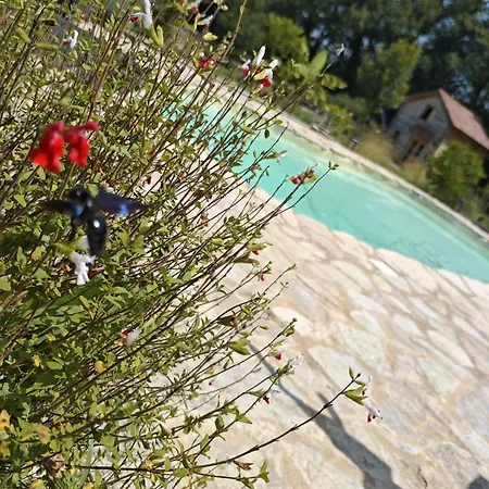 펜션 Confort Avec Petit Dejeuner