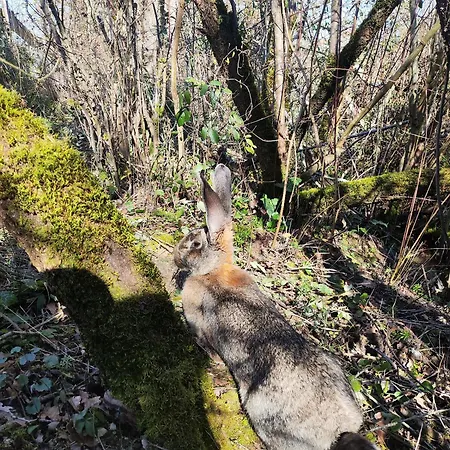 Confort Avec Petit Dejeuner