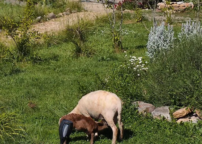 Prázdninový dům Confort Avec Petit Dejeuner