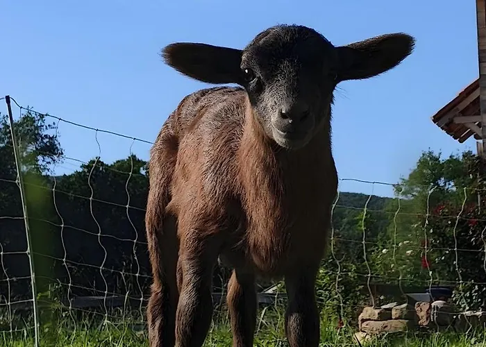 Confort Avec Petit Dejeuner Prázdninový dům *