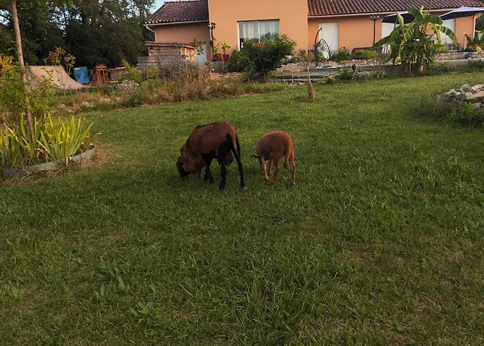 Prázdninový dům Confort Avec Petit Dejeuner *