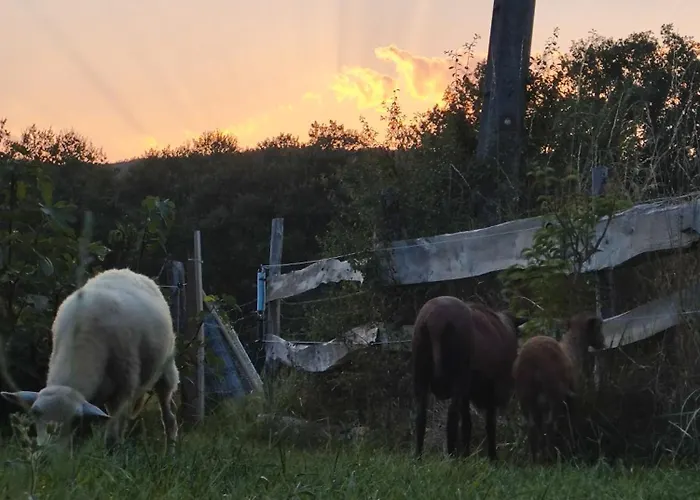 Confort Avec Petit Dejeuner Varen