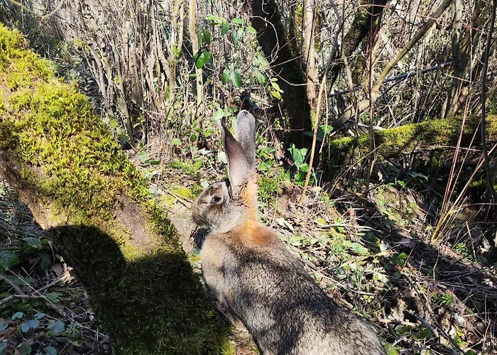 Confort Avec Petit Dejeuner